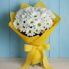 Букет цветов из:  Хризантемы в Вознесеновском
