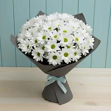 Букет цветов из:  Хризантемы #REPLACE_PRED# Вознесеновском