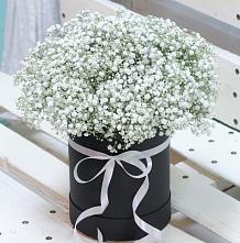 Цветочная композиция из Гипсофила в шляпной коробке #REPLACE_PRED# Вознесеновском