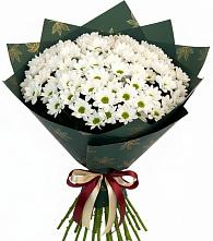 Букет цветов из:  Хризантемы в Вознесеновском