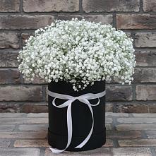 Цветочная композиция из Гипсофила в шляпной коробке в Вознесеновском