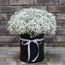 Цветочная композиция из Гипсофила в шляпной коробке в Вознесеновском